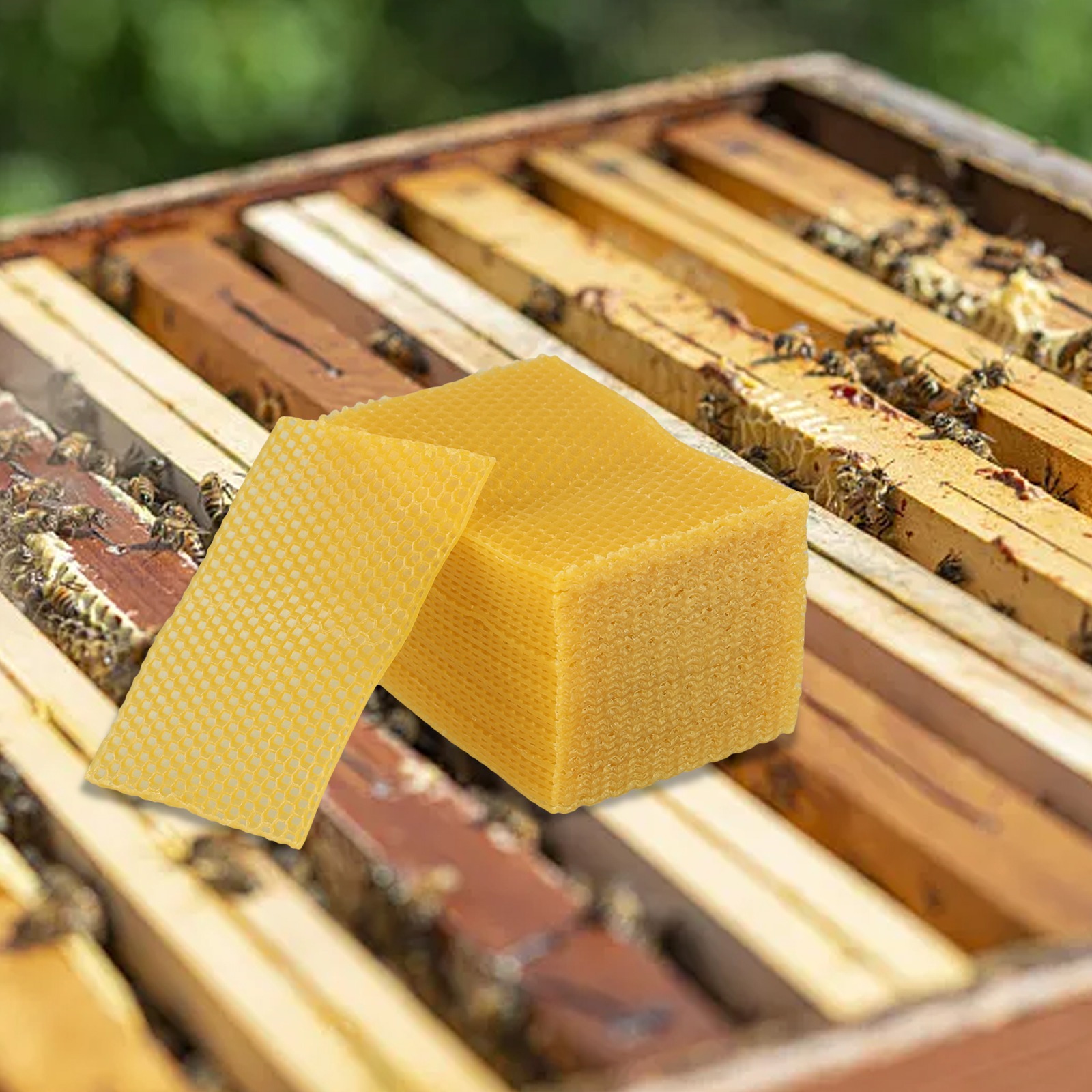 Feuilles de cire d'abeille pou - Candle Making Kit Beeswax avis et prix